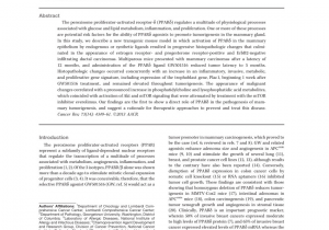 Mortar and Pestle Tampa Fl Pdf Induction Of Metastatic Gastric Cancer by Peroxisome