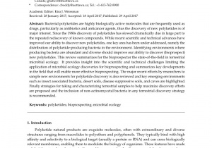 Mortar and Pestle Tampa Review Pdf Cure From the Cave Volcanic Cave Actinomycetes and their