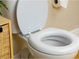 Most Comfortable toilet Seat Ever Most Comfortable toilet Seat Readplease