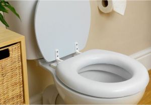 Most Comfortable toilet Seat Ever Most Comfortable toilet Seat Readplease