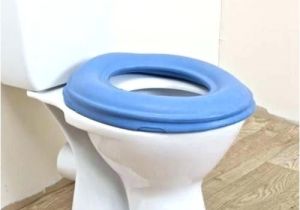 Most Comfortable toilet Seat Ever Most Comfortable toilet Seats Smoothierecipe Info