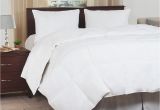 Most Fluffy Down Alternative Comforter Lavish Home Ultra soft White Down Alternative Full Queen