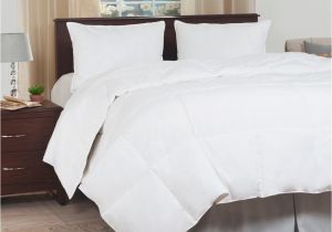 Most Fluffy Down Alternative Comforter Lavish Home Ultra soft White Down Alternative Full Queen