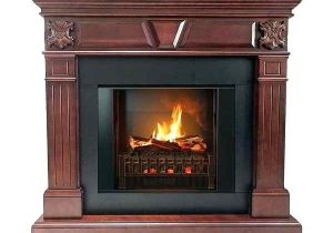 Most Realistic Electric Fireplace Insert Reviews Realistic Electric Fireplace Insert Most Realistic