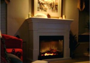 Most Realistic Looking Electric Fireplace Insert Wonderful Living Room Best Of Most Realistic Electric