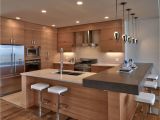 Muebles En San Diego California 30 Elegant Contemporary Kitchen Ideas Habitaciones Cocina