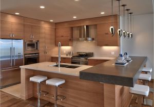 Muebles En San Diego California 30 Elegant Contemporary Kitchen Ideas Habitaciones Cocina