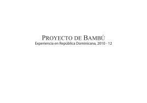 Muebles Usados En Santiago Republica Dominicana Proyecto De Bambaoi Experiencia En Repaoblica Dominicana 2010 12 by