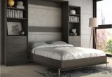 Murphy Wall Beds San Diego Wall to Wall Bed New until Found It at Wayfair Lower Weston Murphy