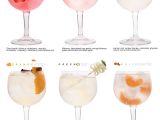 Myers Cocktail Buy Online 6 Gin tonic Infusions Aroma Beuteln Botanicals Geschenk Aromen Zum