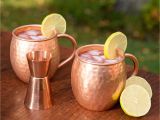 Myers Cocktail Buy Online Naava Moscow Mule Becher Set 2 Kupfer Becher Geschenk Set Fur