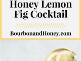 Myers Cocktail for Sale Best 628 Bourbon and Honey Recipes Images On Pinterest