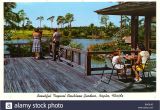 Naples Pack and Ship Naples Fl Naples 1960s Stock Photos Naples 1960s Stock Images Alamy