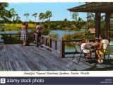 Naples Pack and Ship Naples Fl Naples 1960s Stock Photos Naples 1960s Stock Images Alamy