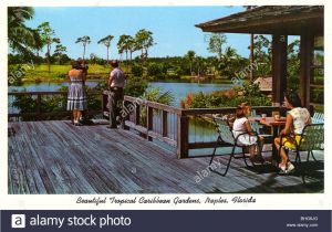 Naples Pack and Ship Naples Fl Naples 1960s Stock Photos Naples 1960s Stock Images Alamy