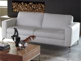 Natuzzi Editions Vs Natuzzi Natuzzi Sectional Sleeper Incredible Home Design