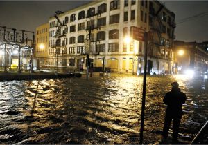 New York Life fort Worth Can New York Be Saved In the Era Of Global Warming Rolling Stone