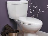 Niagara Stealth toilet Review 16 Green Building Innovations Of 2010