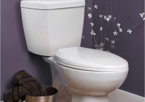 Niagara Stealth toilet Review 16 Green Building Innovations Of 2010