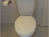 Niagara Stealth toilet Review Niagara N7717 Stealth toilet Review with Pictures and