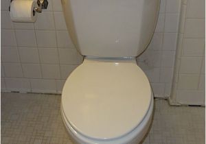 Niagara Stealth toilet Review Niagara N7717 Stealth toilet Review with Pictures and