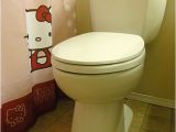 Niagara Stealth toilet Review Niagara N7717 Stealth toilet Review with Pictures and