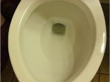 Niagara Stealth toilet Review Niagara N7717 Stealth toilet Review with Pictures and