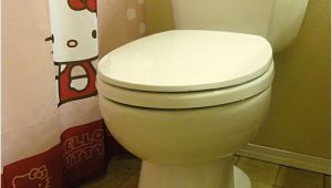 Niagara Stealth toilet Review Niagara N7717 Stealth toilet Review with Pictures and