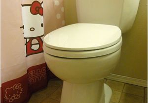 Niagara Stealth toilet Review Niagara N7717 Stealth toilet Review with Pictures and
