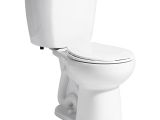 Niagara Stealth toilet Review Niagara Stealth 10 In Rough In 2 Piece 0 8 Gpf Single