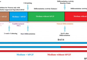 Open Table In Nashville Tn Circular Rna Expression Profiles During the Differentiation Of Mouse