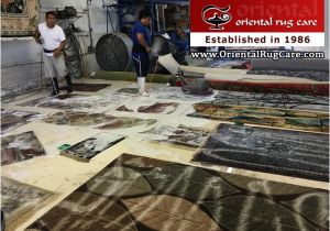 Oriental Rug Cleaning Boca Raton Fl oriental Rug Cleaning Boca Raton oriental Rug Cleaning