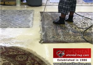 Oriental Rug Cleaning Boca Raton Fl oriental Rug Cleaning Boca Raton oriental Rug Cleaning