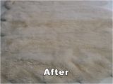 Oriental Rug Cleaning Boca Raton oriental Rug Cleaning Boca Raton oriental Rug Cleaning