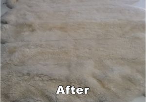 Oriental Rug Cleaning Boca Raton oriental Rug Cleaning Boca Raton oriental Rug Cleaning