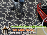 Oriental Rug Cleaning Boca Raton Pet Odor Removal Palm Beach