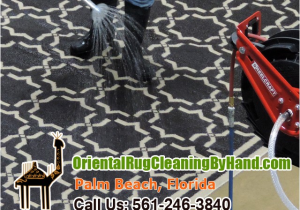 Oriental Rug Cleaning Boca Raton Pet Odor Removal Palm Beach