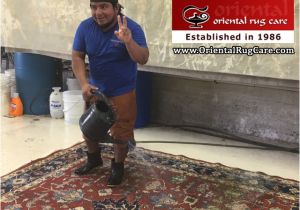 Oriental Rug Cleaning Boca Raton Proper Rug Cleaning In Boca Raton