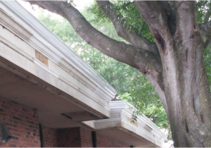 Orlando Seamless Gutters Llc orlando Fl Call Us for A Free Estimate for Gutter Cleaning Repair