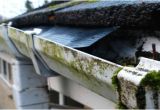 Orlando Seamless Gutters Llc orlando Fl Gutter Repair orlando Fl Choice Gutters Llc