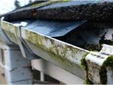 Orlando Seamless Gutters Llc orlando Fl Gutter Repair orlando Fl Choice Gutters Llc