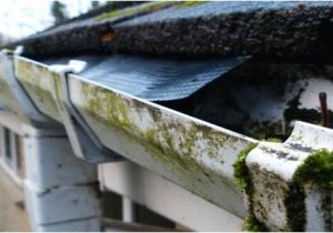 Orlando Seamless Gutters Llc orlando Fl Gutter Repair orlando Fl Choice Gutters Llc