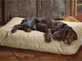 Orvis Anti Chew Dog Bed orvis tough Chew Dog Bed Korrectkritterscom
