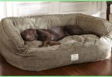 Orvis Anti Chew Dog Bed Outstanding tough Chew Dog Bed tough Chew Dog Bed orvis