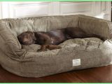 Orvis Anti Chew Dog Bed Outstanding tough Chew Dog Bed tough Chew Dog Bed orvis