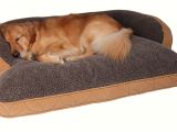 Orvis Anti Chew Dog Bed Tips Chew Proof Dog Bed orvis Chew Proof Dog Bed Dog Beds