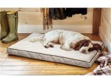 Orvis Bedside Platform Dog Bed orvis Airfoam Platform Dog Bed