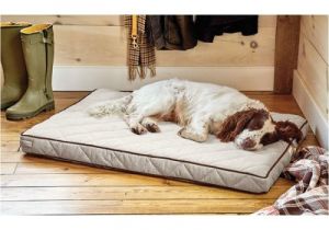 Orvis Bedside Platform Dog Bed orvis Airfoam Platform Dog Bed