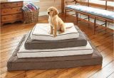 Orvis Bedside Platform Dog Bed orvis Airfoam Platform Dog Bed orvis Airfoam Platform Dog