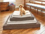 Orvis Bedside Platform Dog Bed orvis Airfoam Platform Dog Bed orvis Airfoam Platform Dog